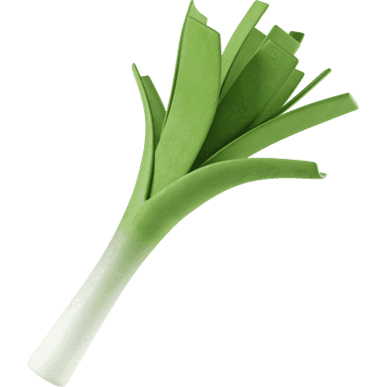 Студии йоги и фитнес-клубы